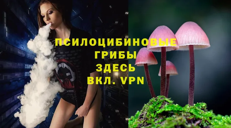 Галлюциногенные грибы Magic Shrooms  Лермонтов 